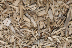 biomass boilers Pickmere